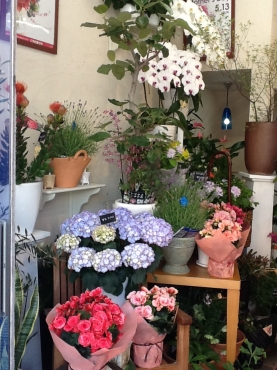 宮城県大崎市の花屋 生花くらしまにフラワーギフトはお任せください 当店は 安心と信頼の花キューピット加盟店です 花キューピットタウン
